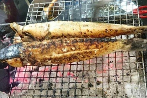 Quán Nhậu Sơn Toàn - Bia Lạnh & Cá Lóc Nướng