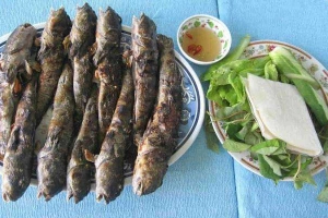 Quán Nhậu Thòi Lòi Biển - Cá Thòi Lòi & Các Món Nhậu