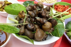 Quán Ăn Quán Ốc Toàn Vy