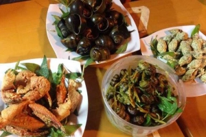 Quán Ăn Quán Ốc Tuyết 2