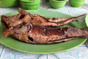 Quán Ăn Quán Sen - Nhậu Bình Dân