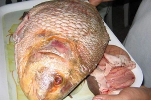 Quán Ăn Tư Tàu - Đặc Sản Cá Chìa Vôi
