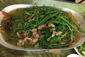 Quán Vườn - Bia Hơi & Các Món Nhậu