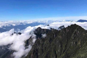 Quốc Phương Travel
