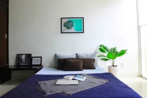 Acis Quy Nhon Homestay