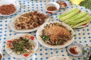 Quỳnh Anh - Đặc Sản Mèo & Gà