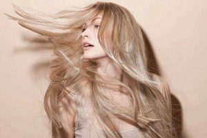 Salon Quỳnh Ngân - Nguyễn Tiểu La