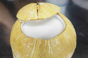 Rau Câu Dừa - Shop Online