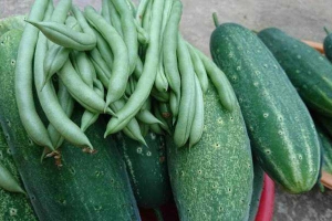 Rau Hữu Cơ Gò Nổi - Shop Online