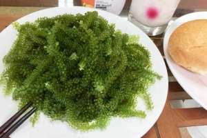 Rong Nho Nha Trang - Shop Online