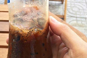 Rovina - Cà Phê Robusta Việt Nam - Thạnh Mỹ Nam