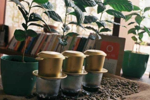 Ruby Coffee Garden