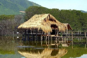 Quán Ăn Rừng Đước - Món Nhậu Bình Dân