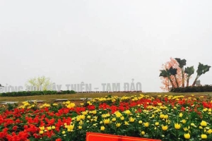 Rừng Hoa Tây Thiên - Tam Đảo