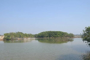 Rừng Ngập Mặn Rú Chá