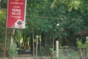 Rừng Xà Cừ Cafe