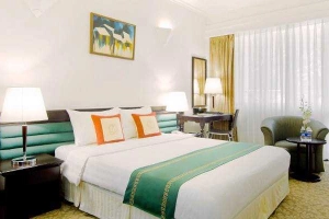 Sài Gòn Lưu Nguyễn Hotel - Đường D2