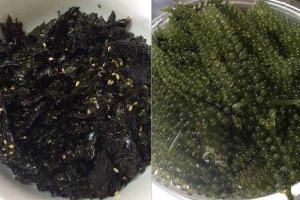 Sala Shop - Rong Biển & Thực Phẩm Sạch - Shop Online