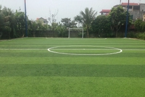 Sân bóng đá cỏ nhân tạo Phương Nam