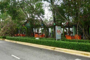 Sao Mai cafe
