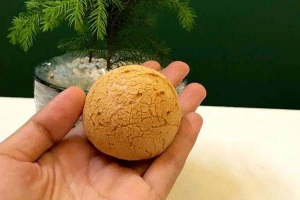 Sari - Tiệm Bánh Sầu Riêng