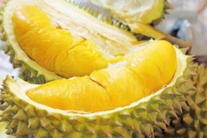 Sầu Riêng - Trái Cây Miền Tây - Shop Online