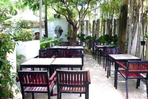 Sen Cafe - Tăng Bạt Hổ