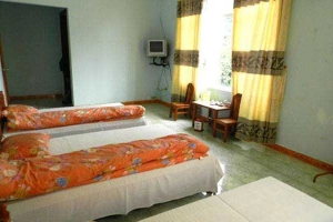 Sen Vàng Hotel - Lê Thị Hồng Gấm