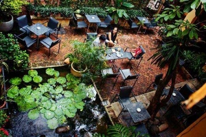 Serenata Piano - Khúc Ban Chiều Cafe