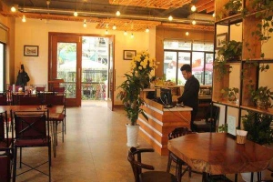 Shine Coffee