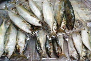 Shop online Bí Ngô Shop - Trái Cây & Hải Sản Online