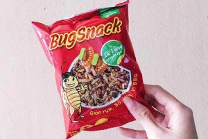 Shop online Bugsnack - Snack Dế Online