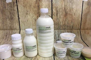 Shop online Sữa Bò Tươi Good Milk - Phạm Văn Hai