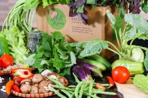 Shop online Hello Măm - Thực Phẩm Sạch Online