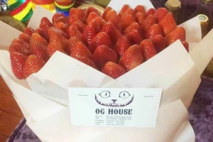 Shop online OG House - Hoa Quả Sạch Online
