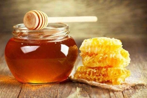 Shop online Ong Béo - Mật Ong Online