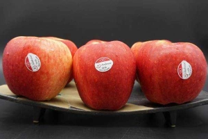 Shop online Sức Sống Xanh - Trái Cây Nhập Khẩu Online