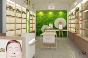 Shu Cosmetic Vietnam