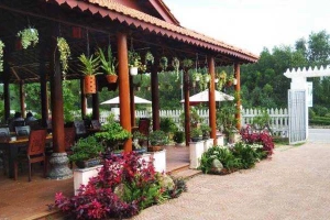 Sinh Vật Cảnh Cafe