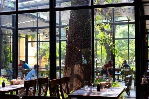 Soba Restaurant & Cafe