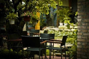 Sỏi Đá Cafe - Lê Văn Sỹ