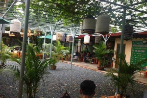 Song Huy - CLB Cafe Chim Cảnh