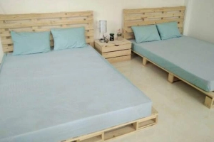Sophie Homestay