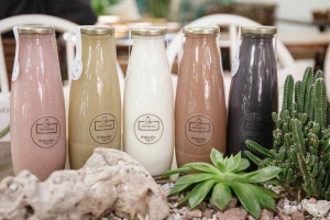 Sữa Nhà Fiew - Milk From Nuts - Shop Online