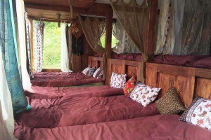 Sunshine Tím - Homestay Du Mục