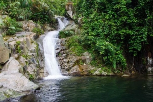 Suối Đát Đắng