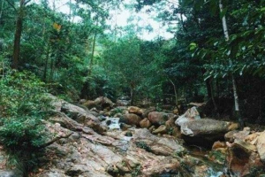 Suối Năm