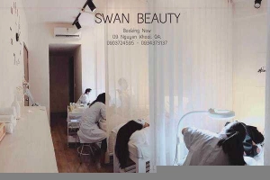 Swan Beauty