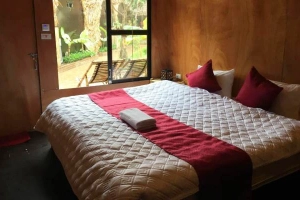Tam Coc Bungalow