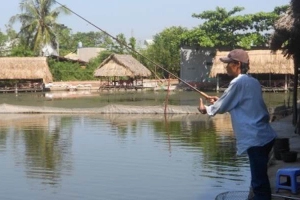 Quán Ăn Tân Điểm Hẹn Xanh - Câu Cá Giải Trí